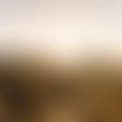 Los Angeles: Road Trips Are Good For The Mind