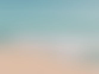 Fort Desoto Beach | Elopement Location in Pinellas County, Florida