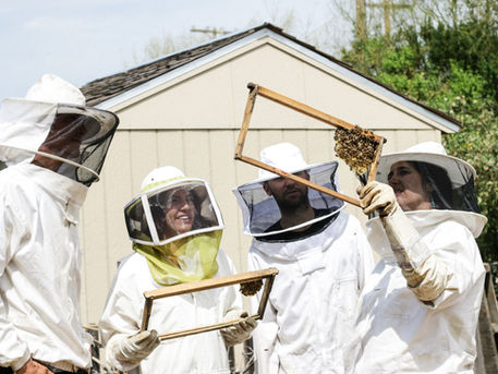 Women beekeepers 'astonished' by global response to world record attempt