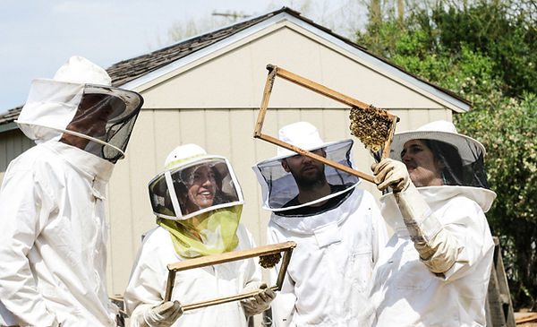 Image de Pass the Honey