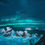 Thumbnail: Iceland's Northern Lights 11 Days