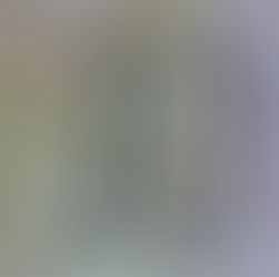 Dix arguments de la théorie de l’évolution démentis