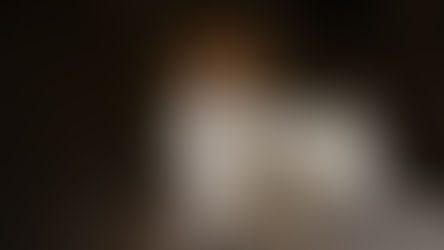 Exploring Lincoln’s Life Through Images