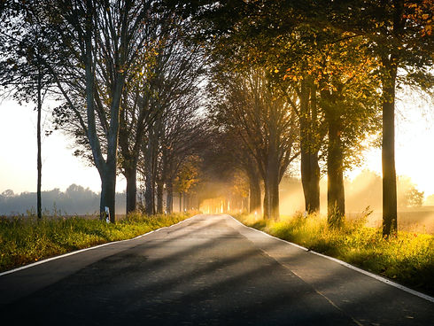 Image by Sven Wilhelm