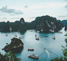 Image by Ammie Ngo