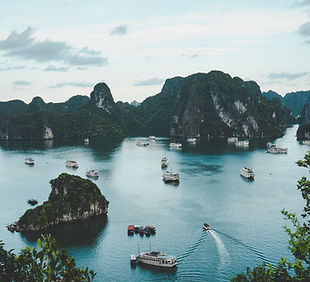 Image by Ammie Ngo