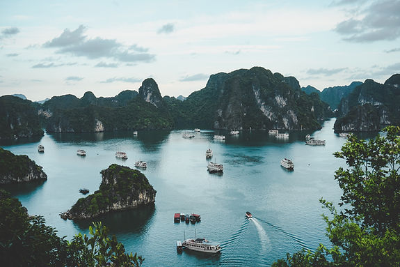 Image by Ammie Ngo