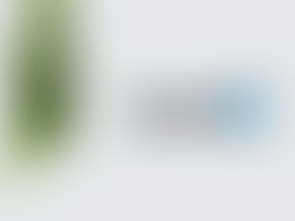 Wat is LinkedIn?