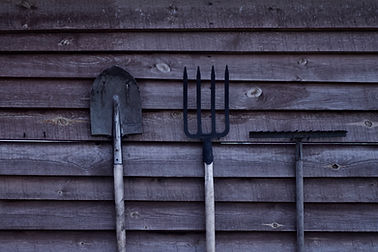 Image by Nastya Kvokka