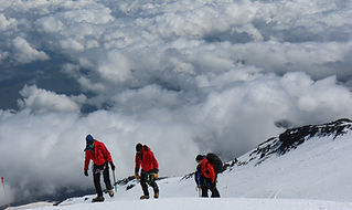 kilimanjaro