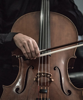 Image by Adi Goldstein