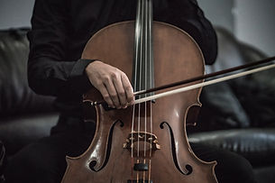 Image by Adi Goldstein