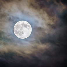 Image by Ganapathy Kumar