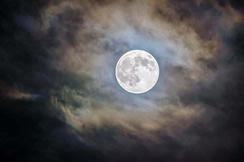 Image by Ganapathy Kumar