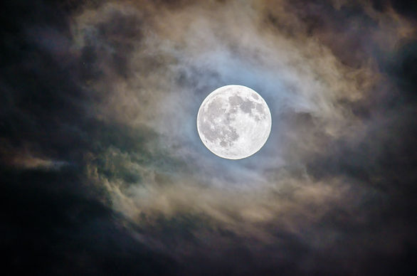 Image by Ganapathy Kumar