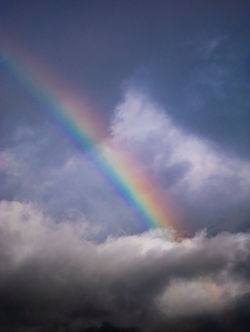 Over the Rainbow- $100