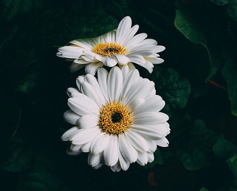 Image by Andi Rieger