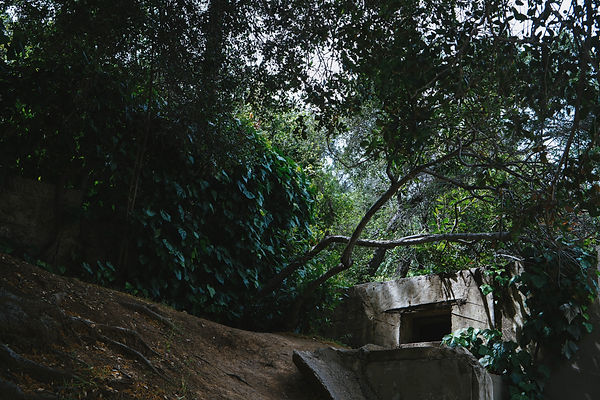 Image by Rosalind Chang