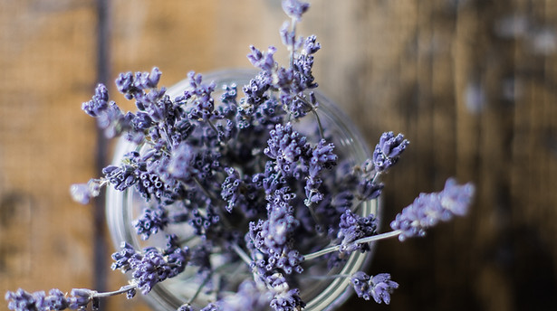 Image by Heather Ford