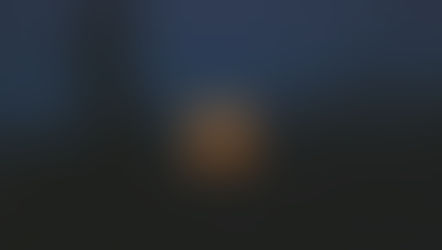 Shadow Maribrengaël 蠍座満月への約束 -自分に正直に-