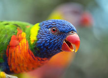 Image by David Clode