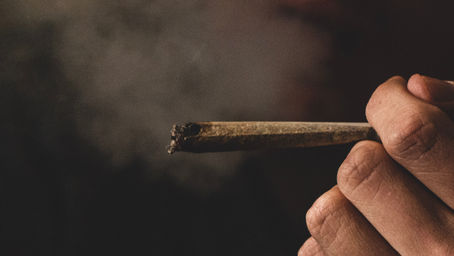 Why Cannabis Gets You High... THC is the Reason
