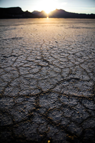 Image by Patrick Hendry