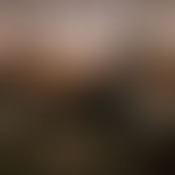 Best Neighborhoods to Stay in Rome: Where Locals Live, Eat and Explore