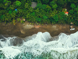Women powering the climate action: Pacific Islands lead the way