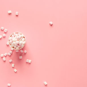The Marshmallow Test: To What Extent Does Discipline Dictate Success?