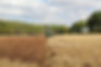 ‘Good Food Cycle’ Welcome Ambition But Needs Policy Support