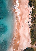 Image by Logan Armstrong
