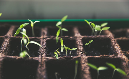 Image by Markus Spiske