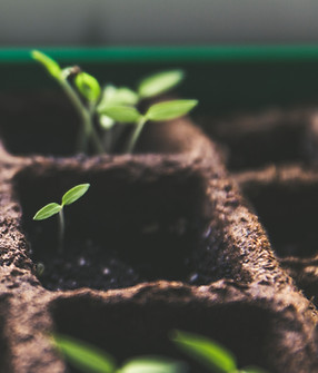 Image by Markus Spiske