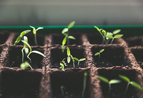 Image by Markus Spiske