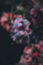 Image by Annie Spratt