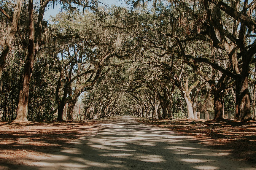 Image by Jessica Furtney