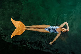 Image by Emily Goodhart