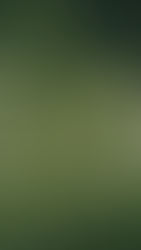 A Performance Roadmap