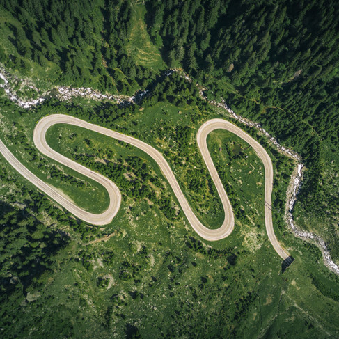 Overview of winding road in forest