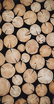 Image by Zuzana Kacerová