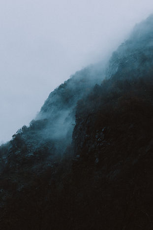 Image by Florian Olivo
