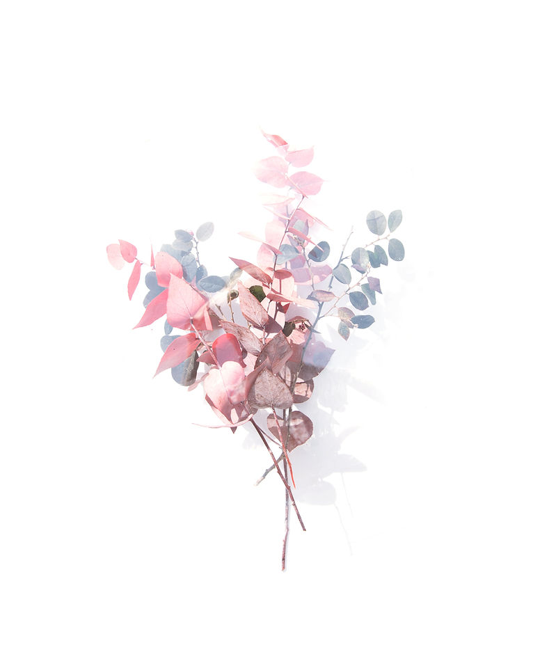 Image by Evie S.