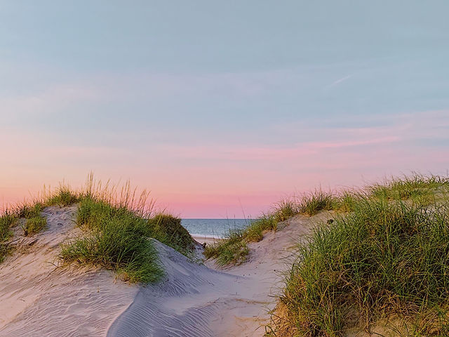 Wild Dunes Inn at Shorebreak Resorts | Ocean City, NJ
