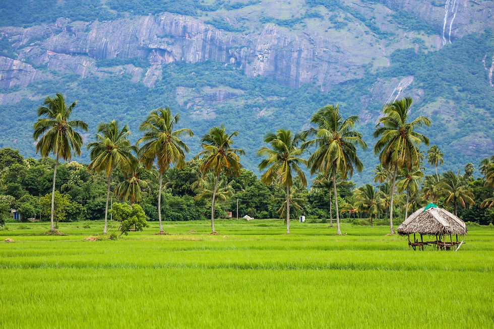 Image de Sreehari Devadas