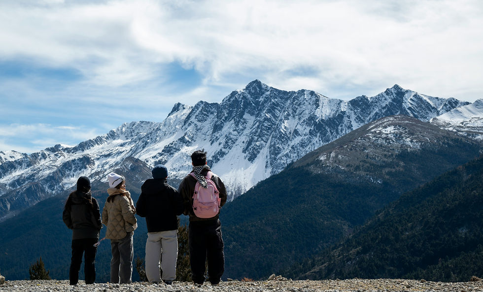 blue mountains small group tours from sydney