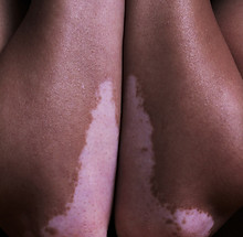 Image by Hanen BOUBAHRI