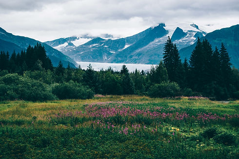 Image by Sandra Seitamaa