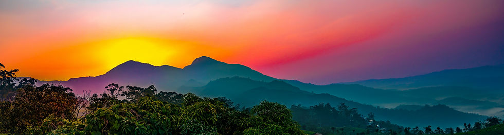 Image by Arvind Vallabh