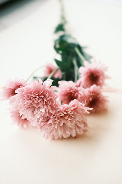 Image by Zeynep Güler